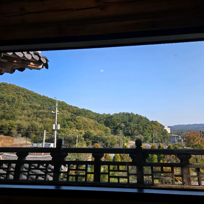 아늑한 분위기의 카페 내부 좌석