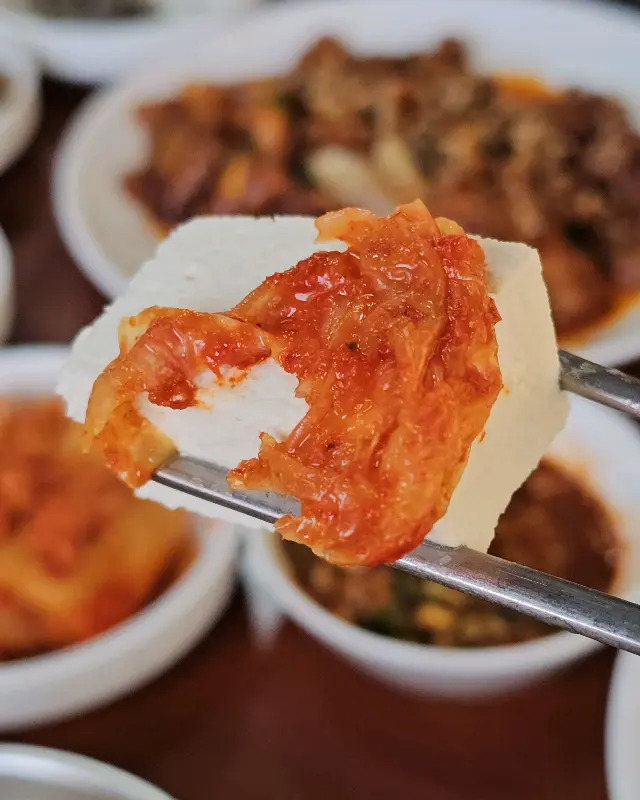 손두부와 김치의 환상적인 조합