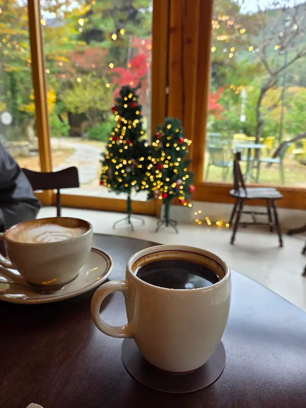 창밖으로 보이는 풍경 사진. 푸른 나무와 잔디가 아름답게 펼쳐져 있다.