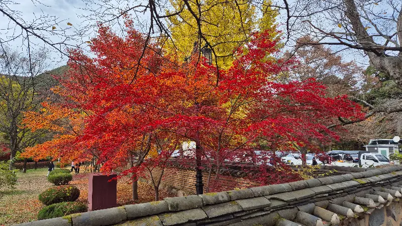 가을의 정취가 느껴지는 주변 풍경