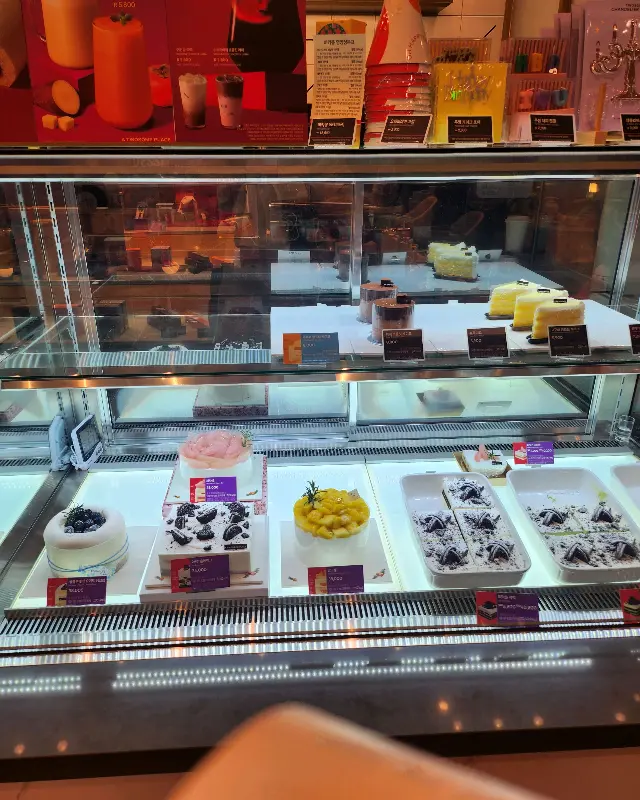 투썸플레이스 쇼케이스