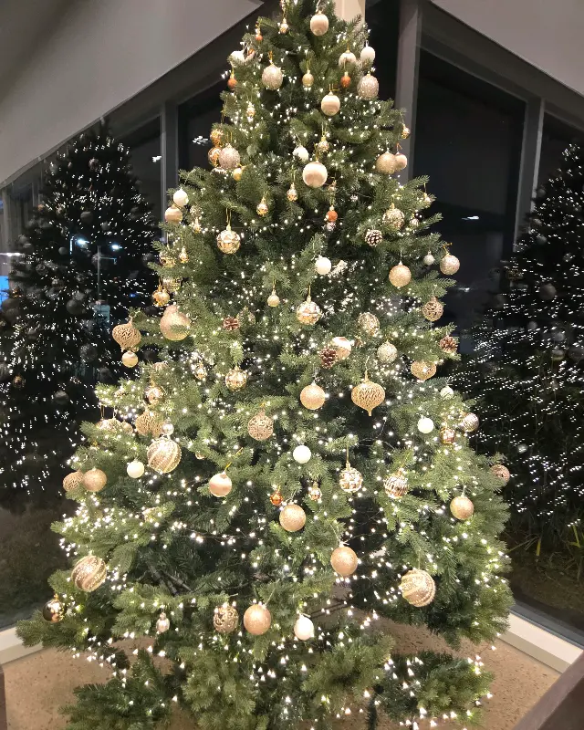 크리스마스 트리가 장식된 3917마중