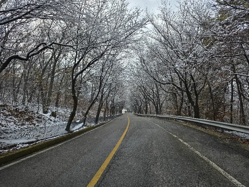 크리스마스 분위기