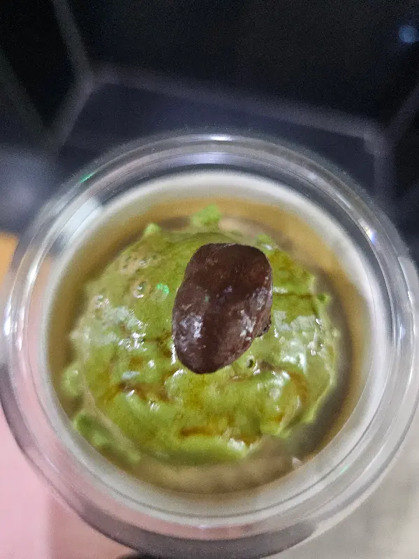 깔끔하고 세련된 분위기의 벤탄빌라