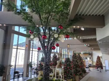 마산에서 만나는 숲 속 힐링, 내서 오도막 베이커리 카페에서 맛있는 빵캉스!