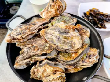 바다향 가득한 추억, 통영 맛집 한마음식당에서 맛보는 겨울 굴요리의 향연