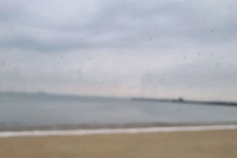 다양한 빵 종류