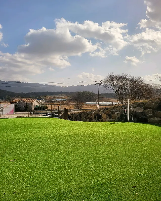 정갈하게 담겨 나온 메밀 면