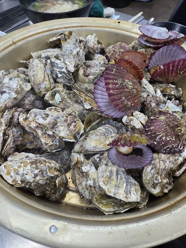 굴이 듬뿍 들어간 시원한 굴칼국수