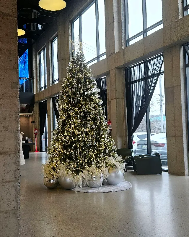 카페 내부의 거대한 트리