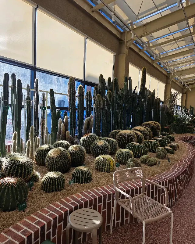 다양한 베이커리류 진열 모습