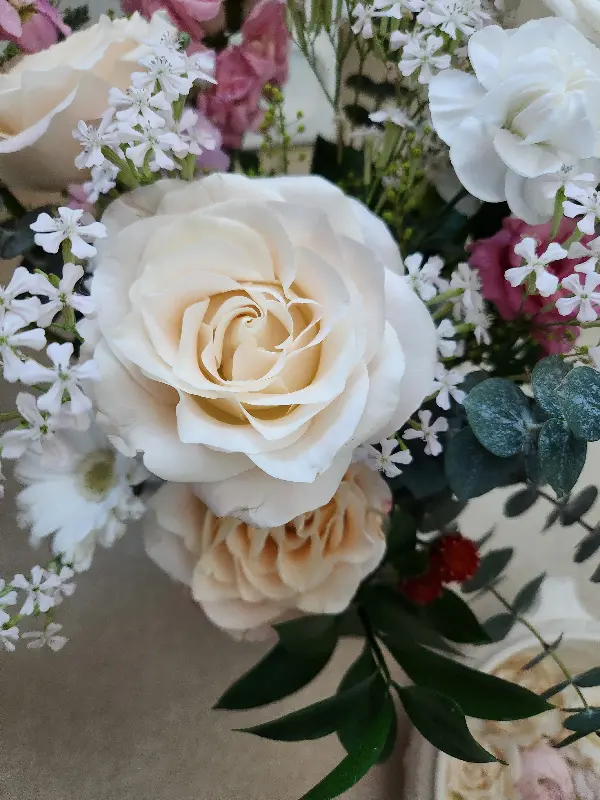 태백의 아름다운 꽃