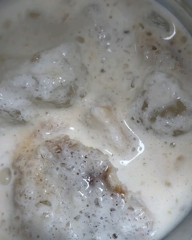 코코넛 커피 스무디