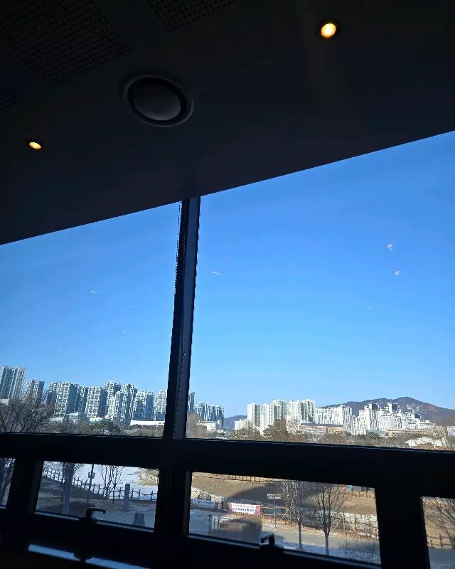 창밖으로 보이는 공원 풍경