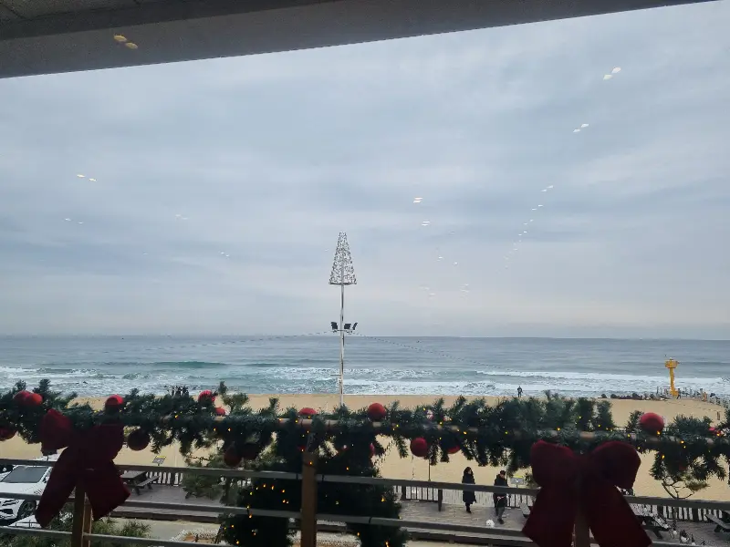 크리스마스 장식으로 꾸며진 카페 내부