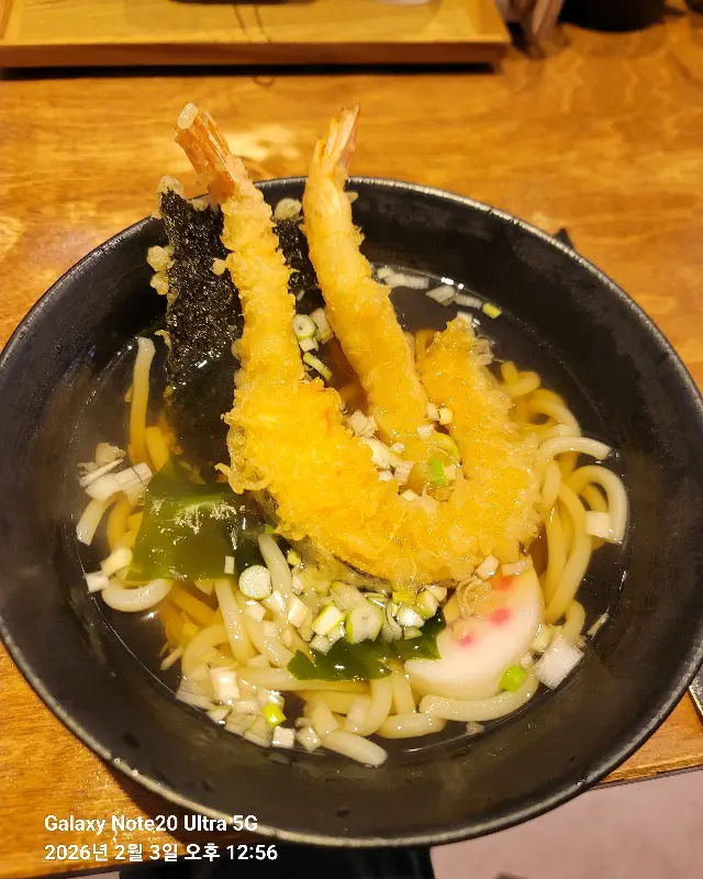 코카모메의 에비텐 우동