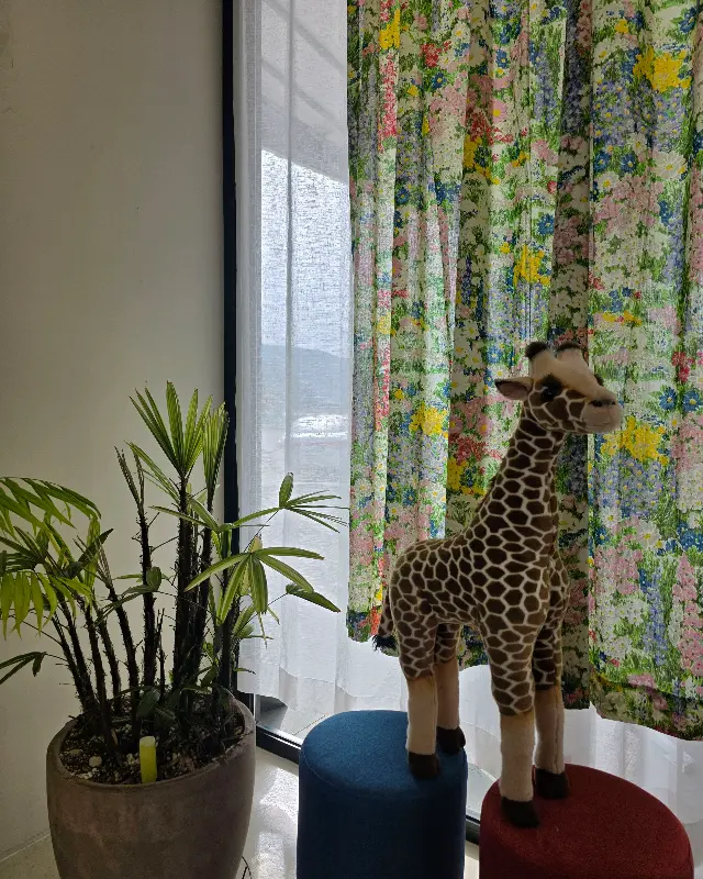 카페 내부 인테리어