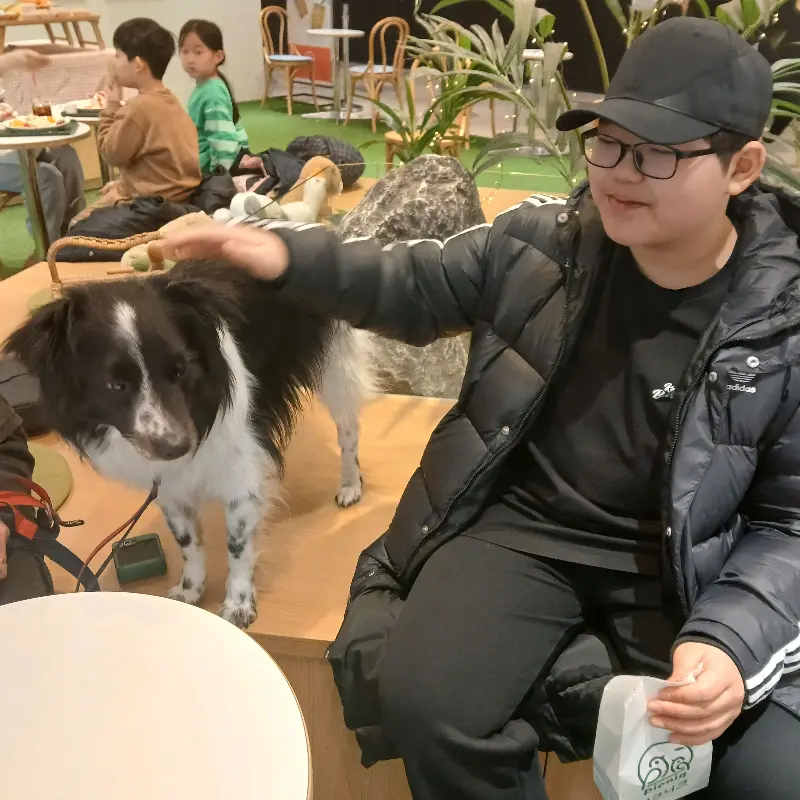 피크니크 강아지