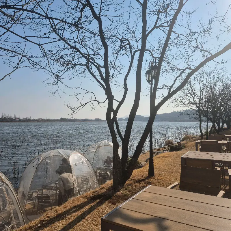 투명 돔 테이블