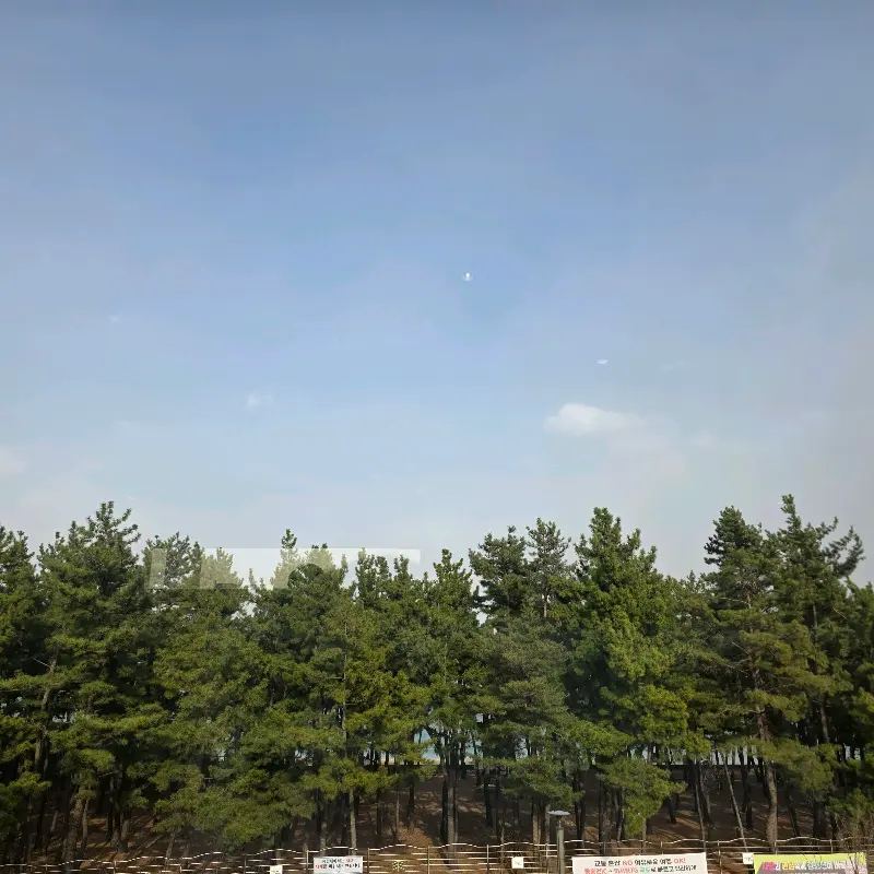 카페 내부 좌석