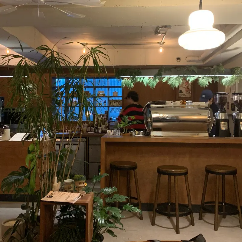 편안하고 아늑한 분위기