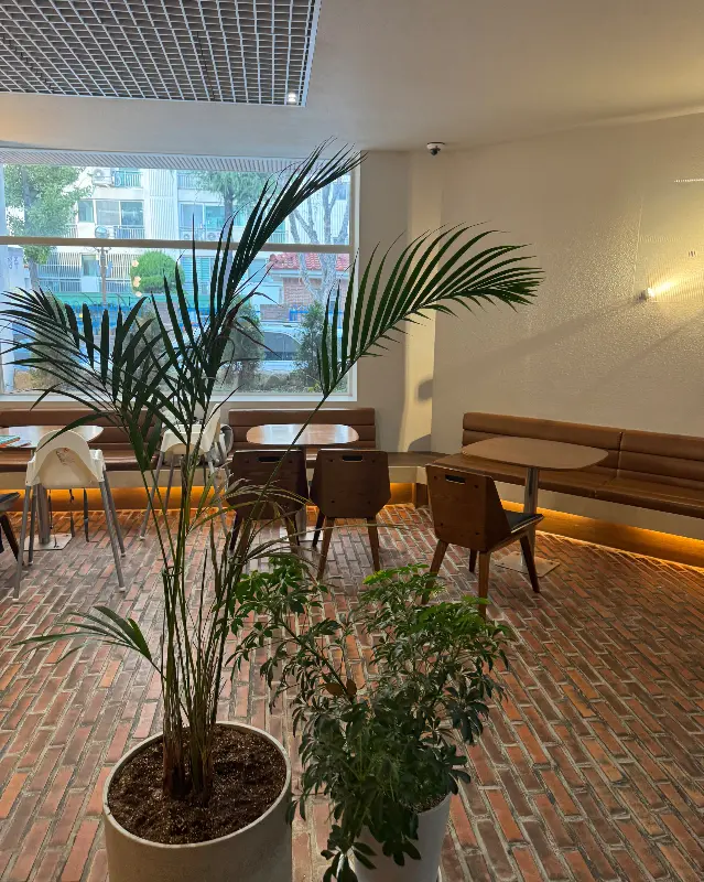 레이지모닝 내부