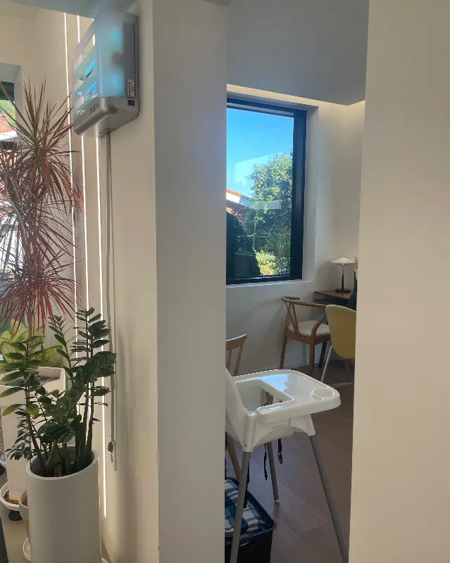 카페 정원의 푸릇푸릇한 나무들