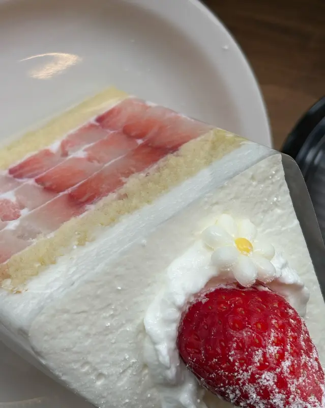 딸기 케이크 단면