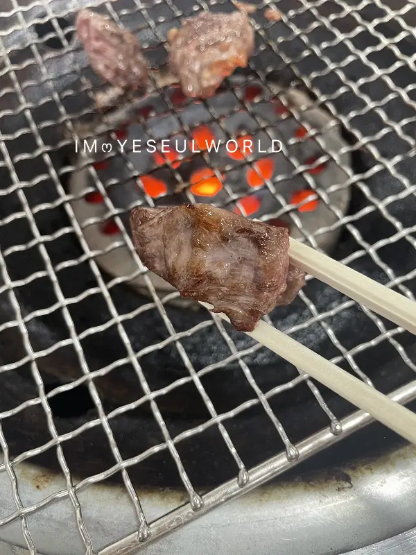 잘 구워진 소갈비살