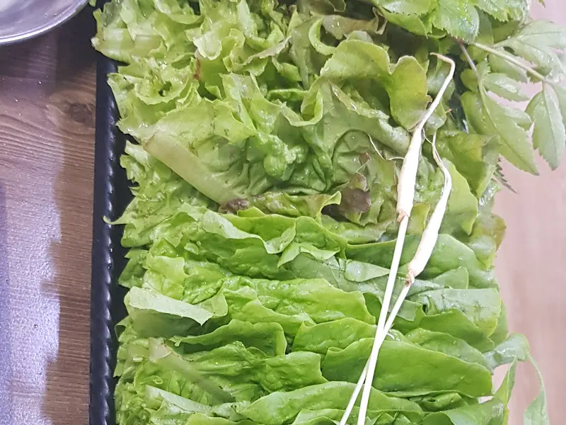 싱싱한 쌈 채소