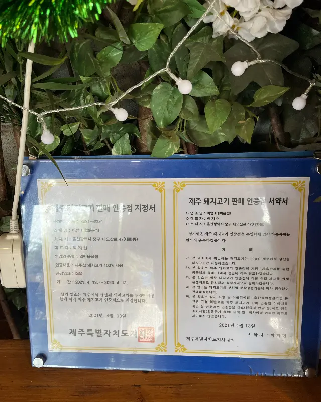 제주 돼지 판매 인증서