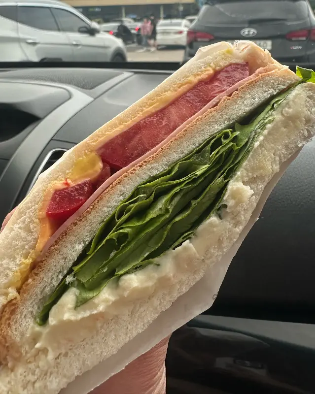 신선한 재료가 듬뿍 들어간 샌드위치