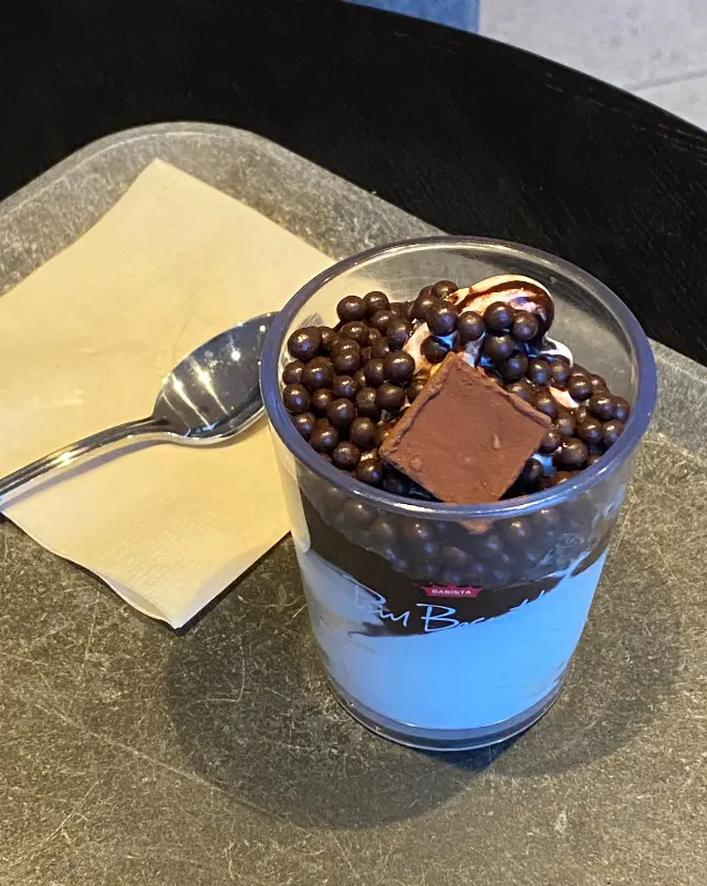 초코 토핑이 듬뿍 올려진 아이스크림