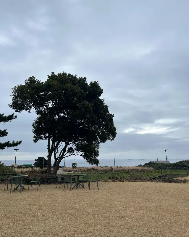 카페 외부 정원의 모습