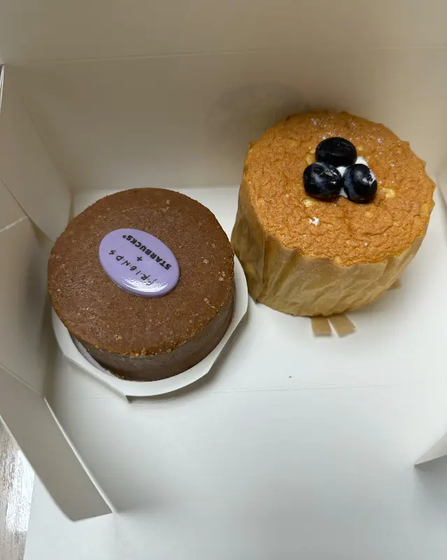 초코 케이크와 블루베리 케이크