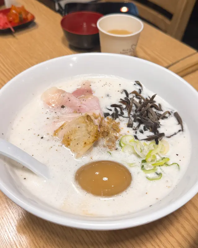 토리파이탄 근접샷