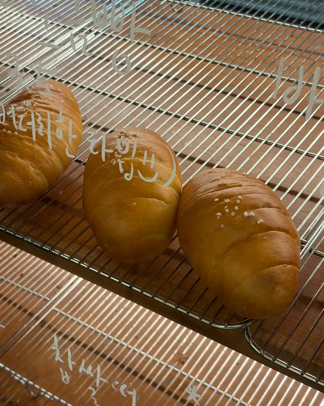 아보디저트 플레인 소금빵