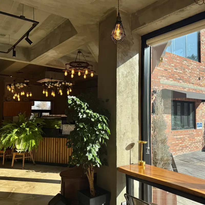 카페 내부의 플랜테리어