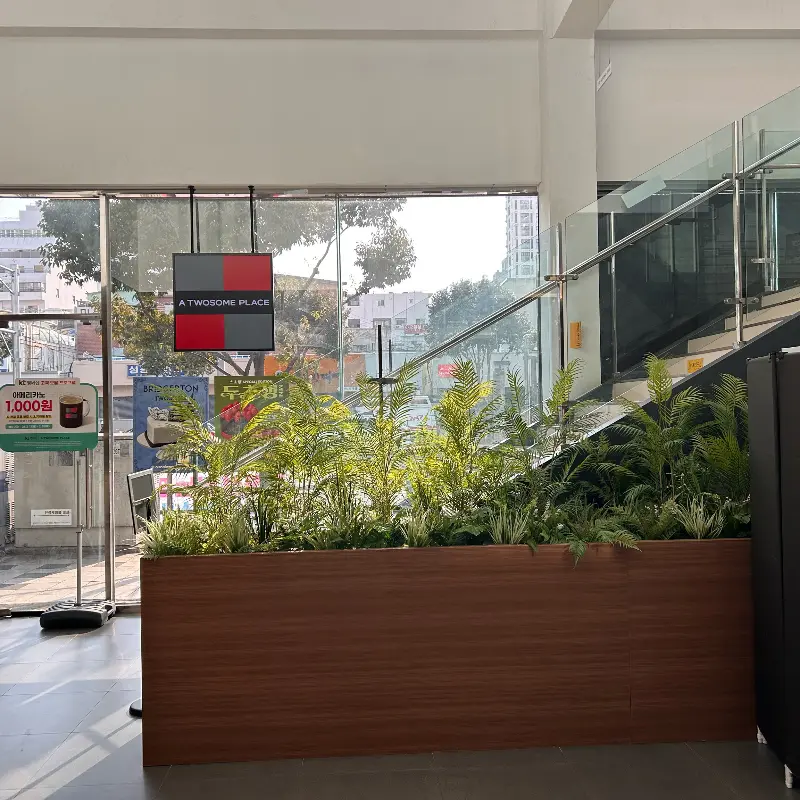 투썸플레이스 영도부산대교점의 창가 좌석과 플랜트 장식