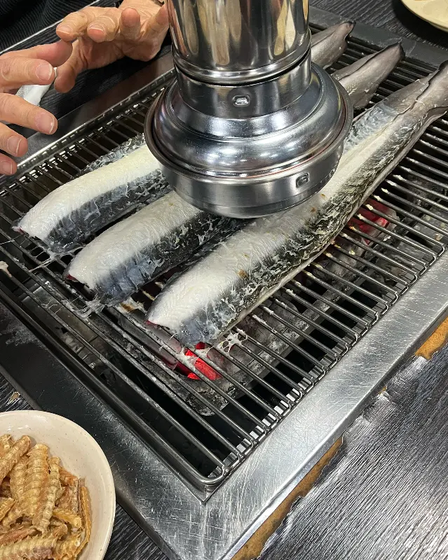 섬진강 민물장어