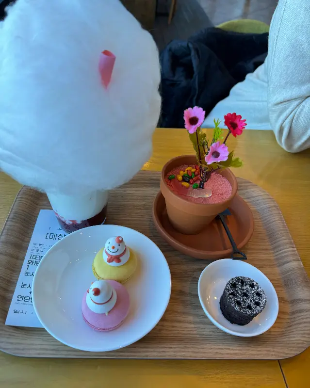 구름라떼, 화분 아이스크림, 마카롱, 연탄빵
