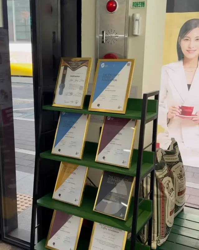 알리스타 커피 인증서