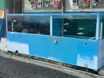 산청 원지에서 만난 인생 맛집, 만포정바다횟집! 여기 진짜 무조건 가봐야 할 곳!