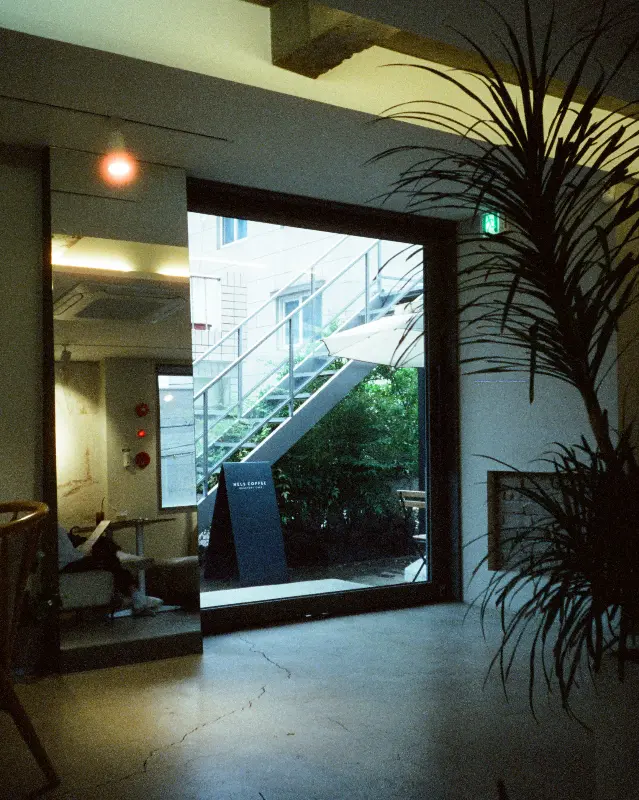 카페 외부에서 보이는 계단과 식물