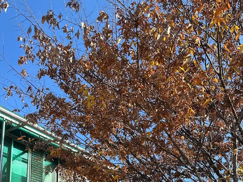 88식당 외부 풍경