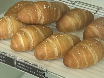 고소한 버터 향이 코를 찌르는, 삼봉지구 빵 맛집 “계절과자점”에서 느끼는 소소한 행복