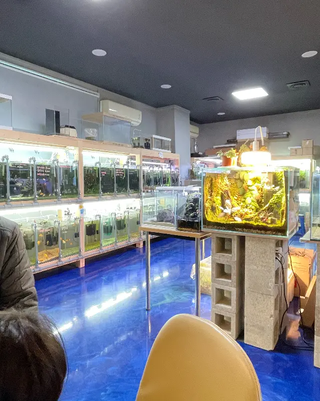 카페 내부 전경