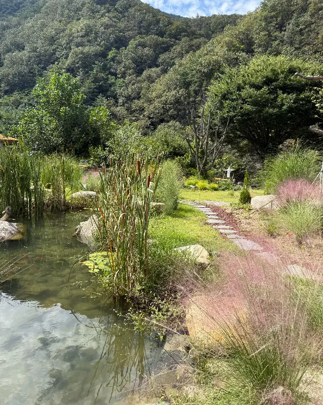 오무아무아 카페 외부 정원