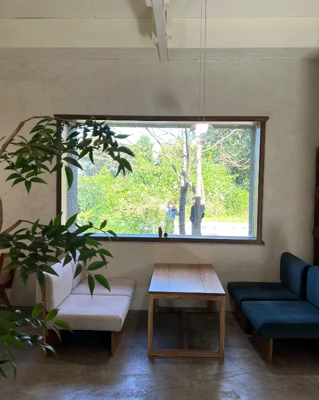 푸른 곶자왈이 보이는 창가 좌석