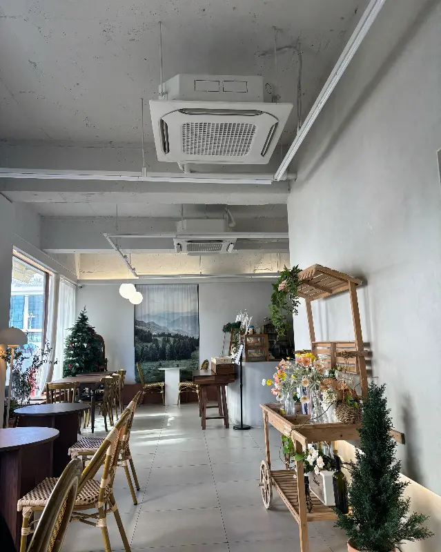 다양한 종류의 빵